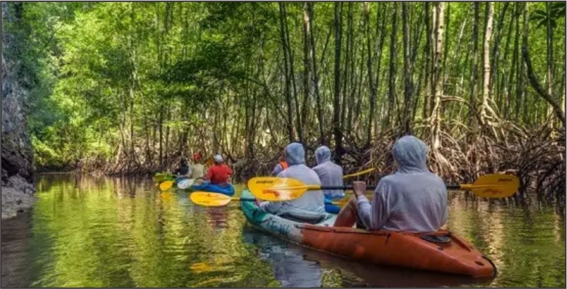 Kayaking in the Narmada and Betwa rivers