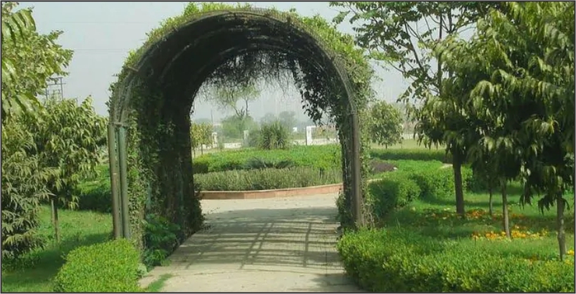 Chaudhary Devi Lal Nature Park in Haryana