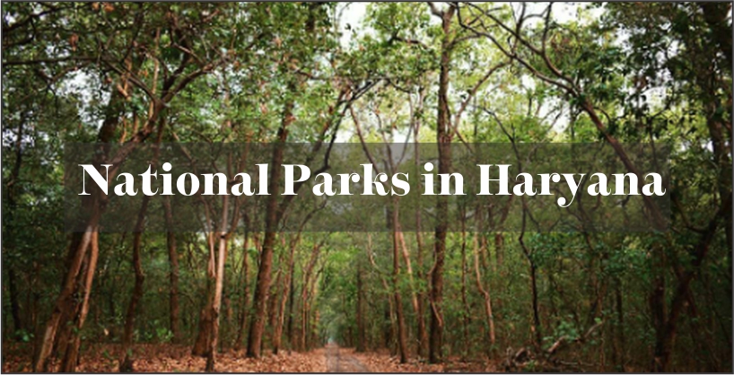National Parks in Haryana