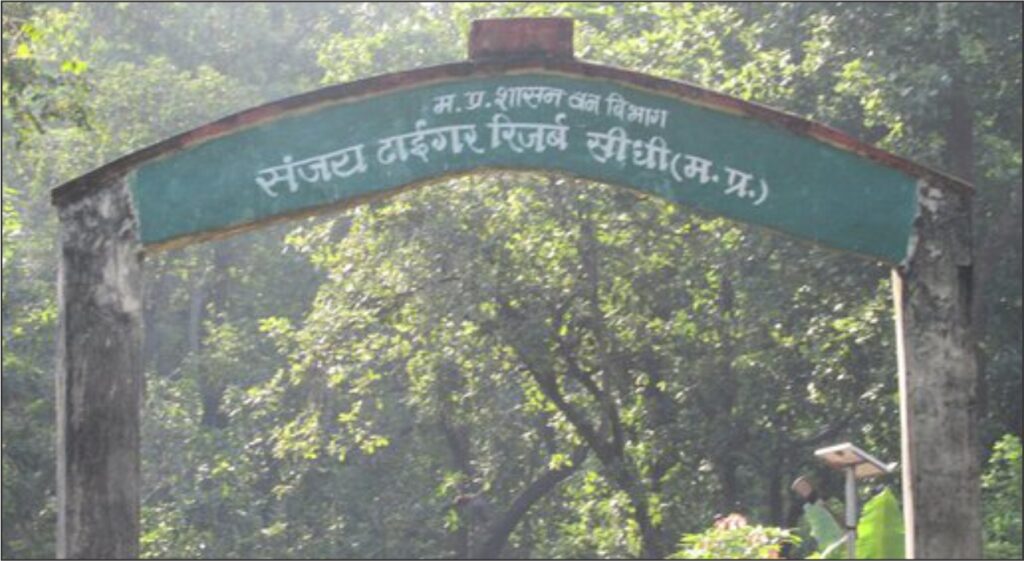 Sanjay-Dubri Tiger Reserve